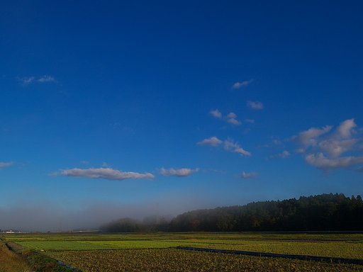 雨上がりの青空・・・