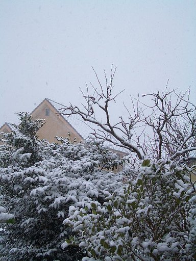 晦日の雪の華