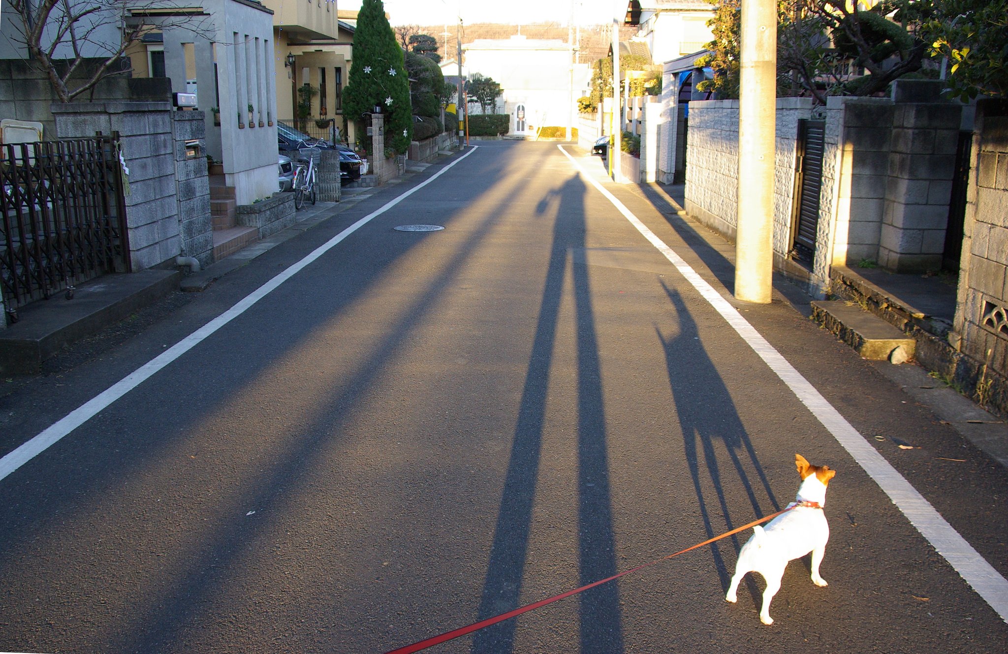 元旦の朝
