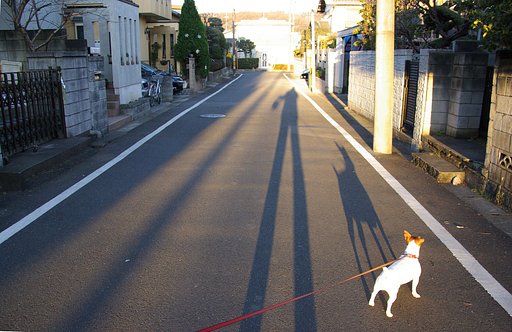 元旦の朝