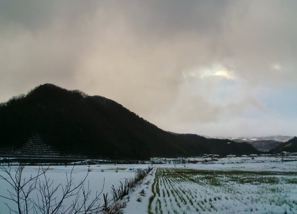 今朝はミゾレや雪が・・