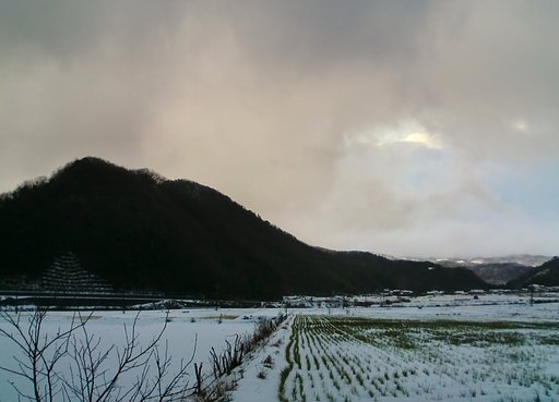 今朝はミゾレや雪が・・