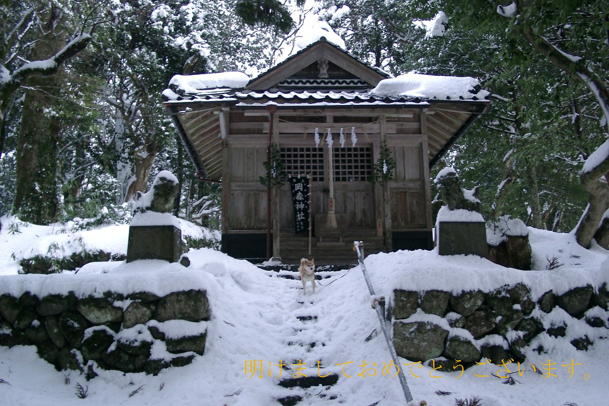 おめでとうございます、ワン!