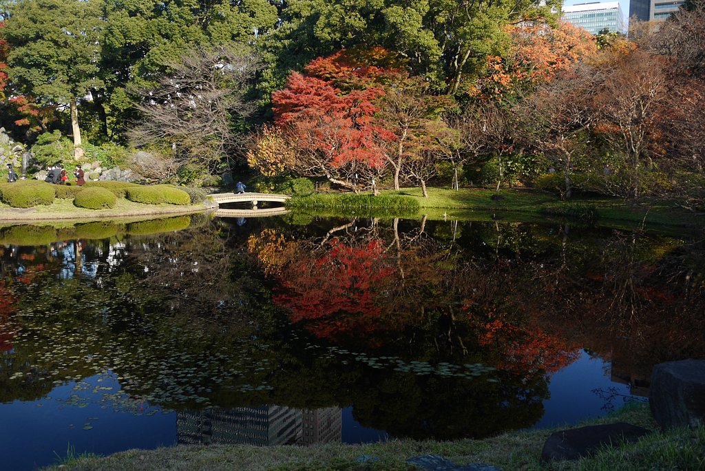 僕も紅葉の写真を