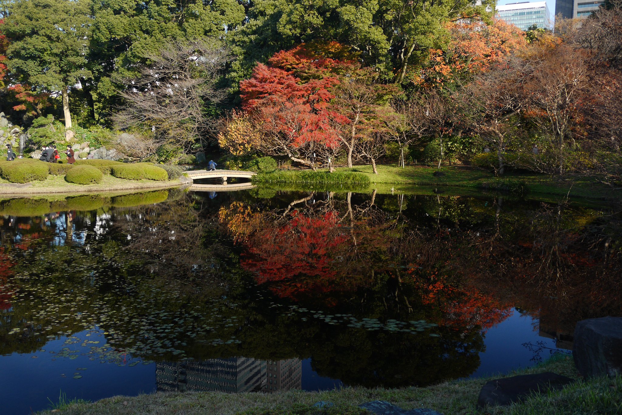 僕も紅葉の写真を