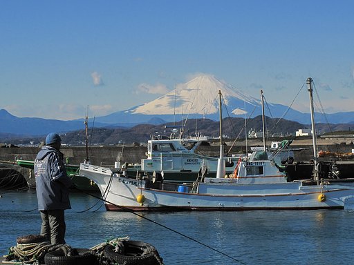 釣れなくてもいいかぁ