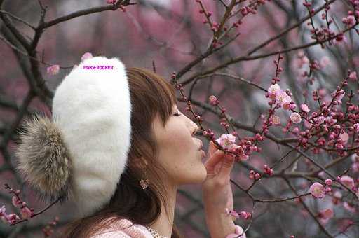 ウメのか・ほ・り・・・