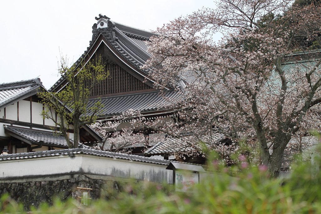 奈良　橘寺