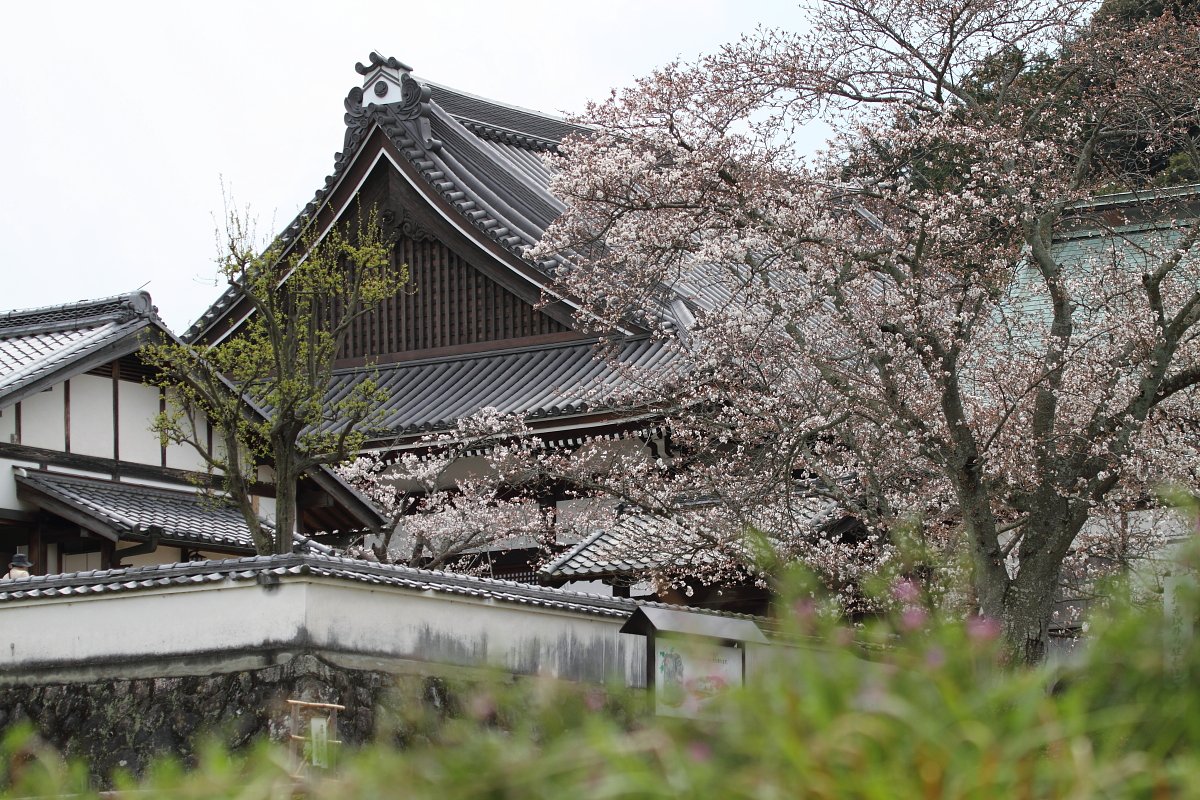 奈良　橘寺