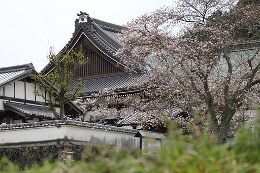 奈良　橘寺