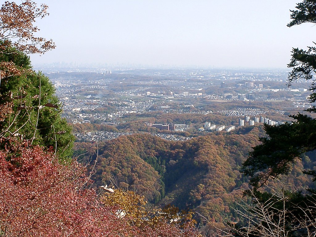 ▲高尾山の晩秋-08