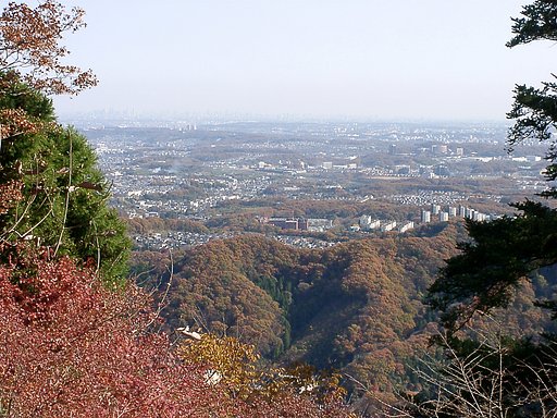▲高尾山の晩秋-08