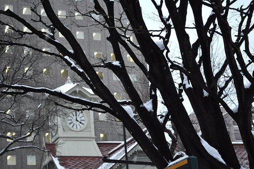 【あした】鐘がなる