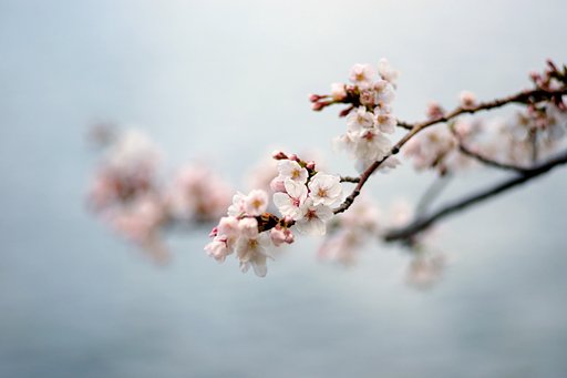曇空に負けるな