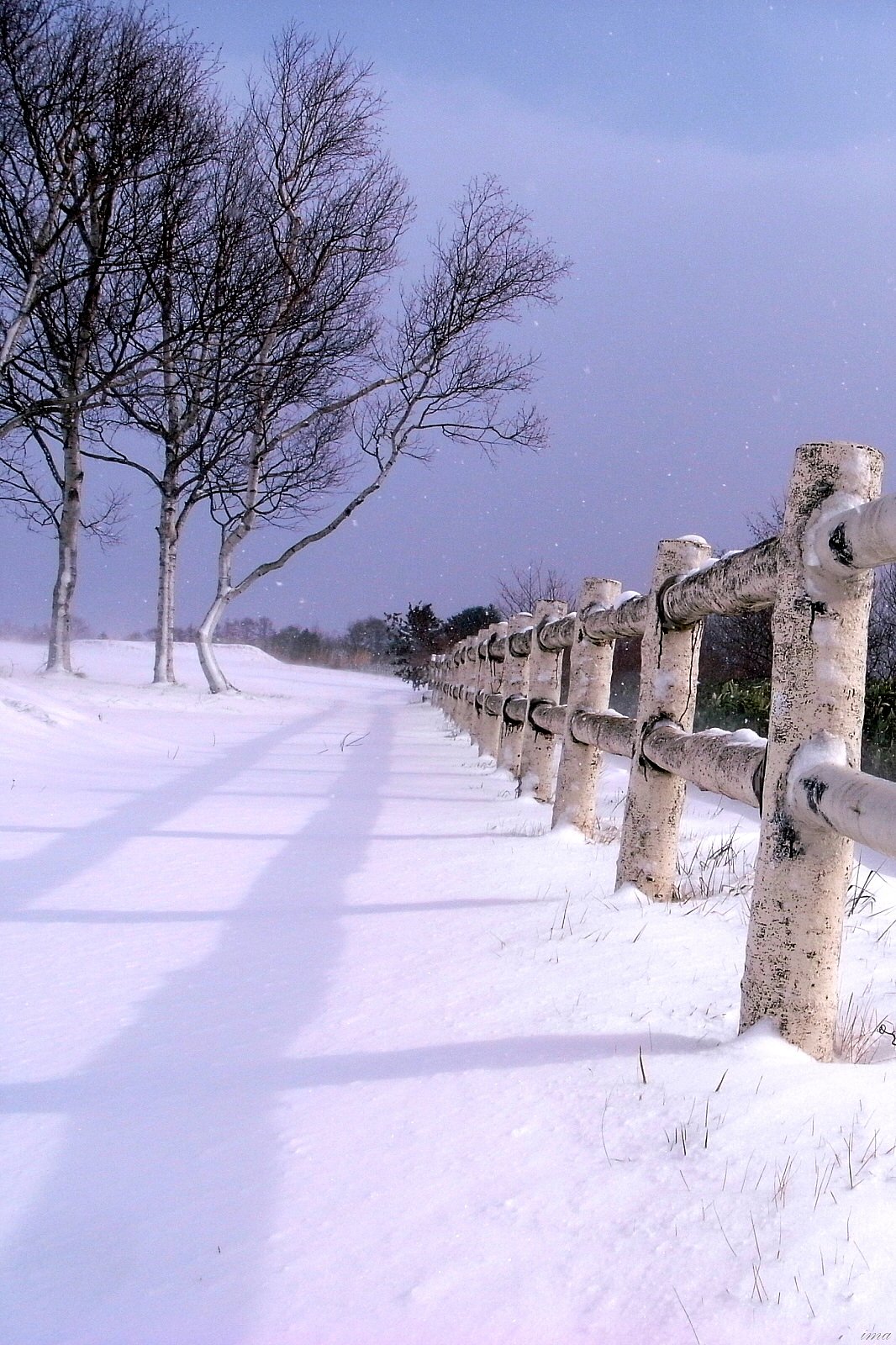 雪景色