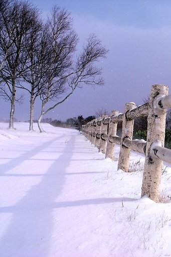 雪景色