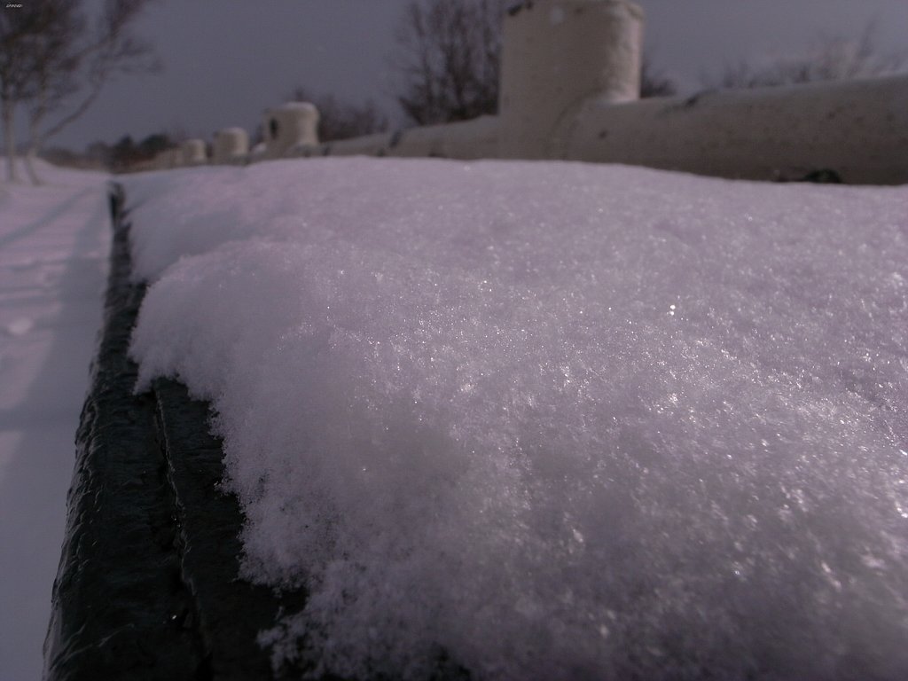 雪景色