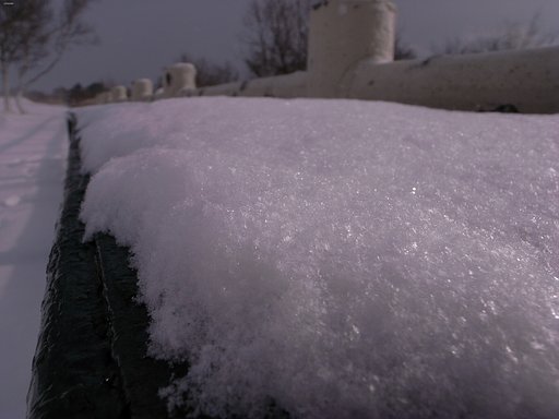 雪景色