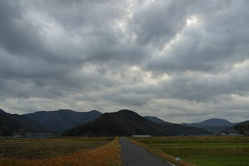 二日続きの雨が上がった!