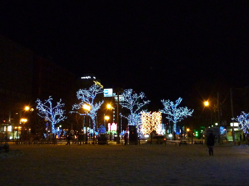 公園のイルミー