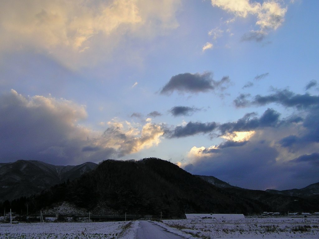 今日も雪が降ってます。