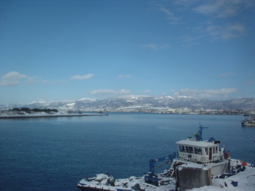 冬の海