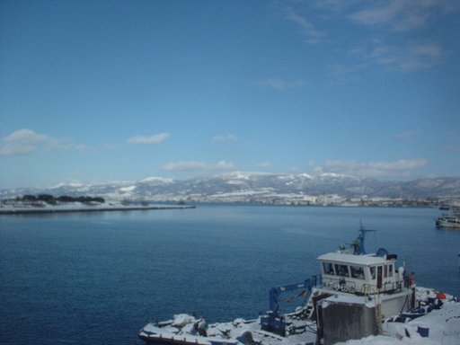 冬の海