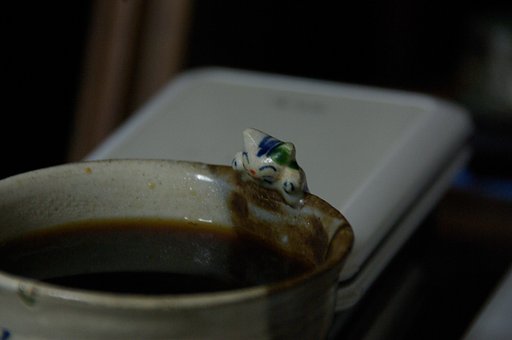 【猫】　コーヒー飲む？