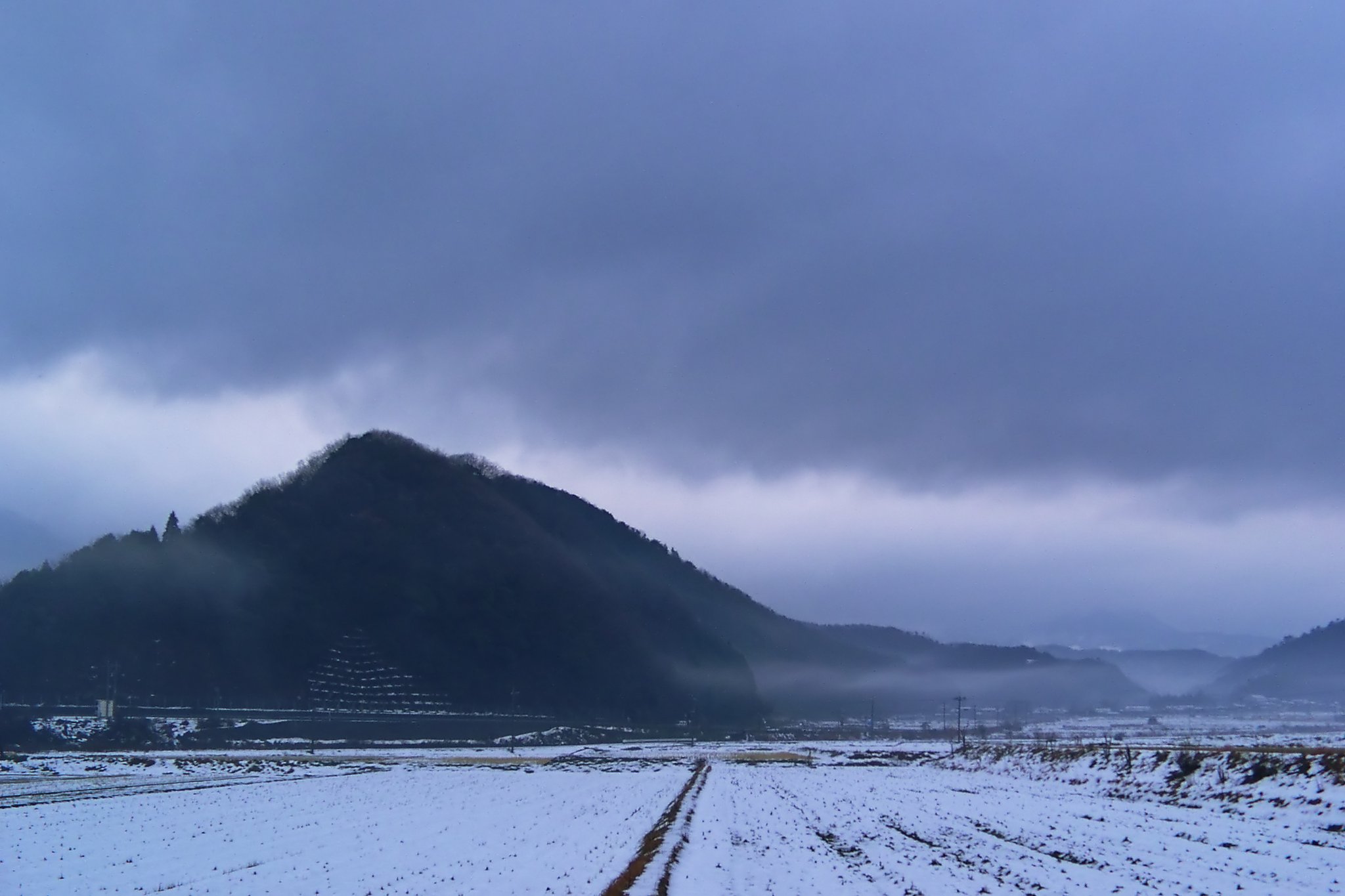 深い霧に包まれた朝!