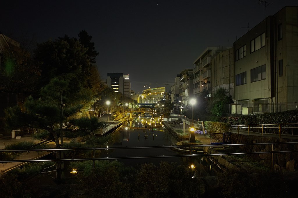 近所の公園夜景