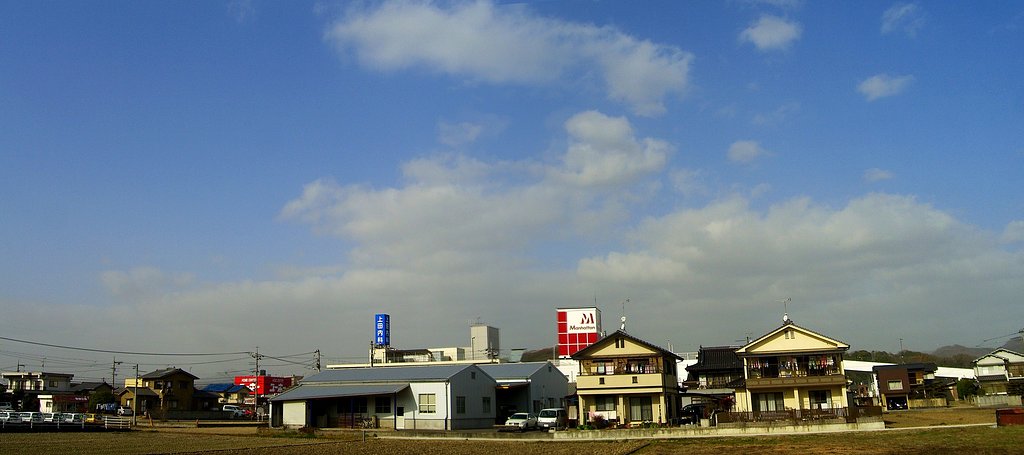 晴れましたが