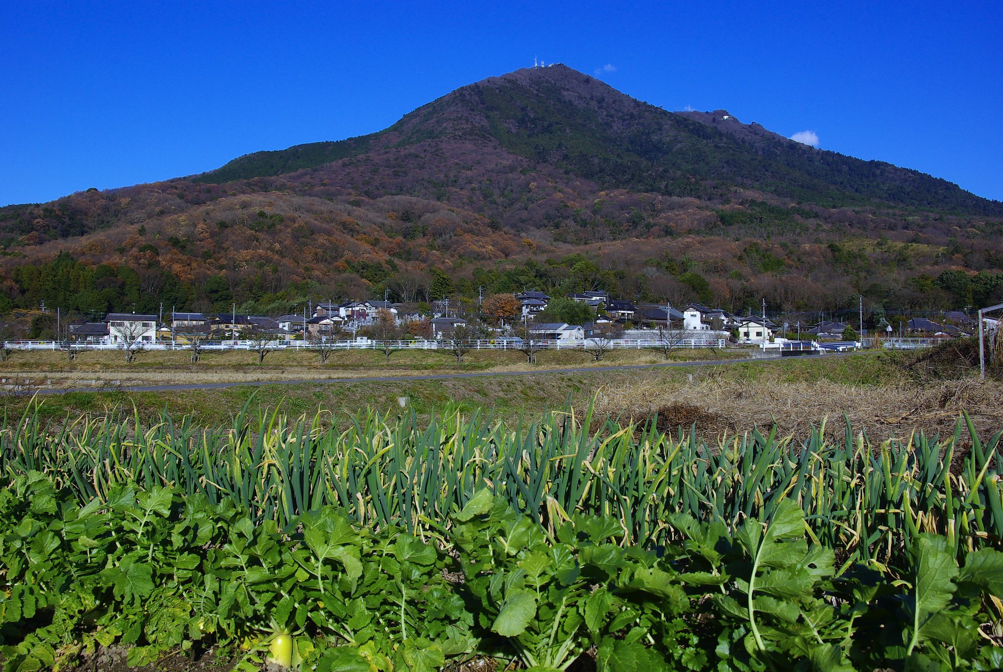 師走の筑波山