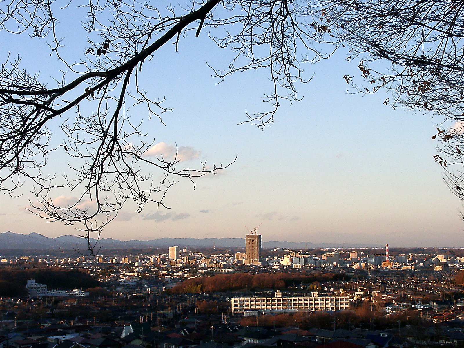 ■大塚山から見た八王子市街