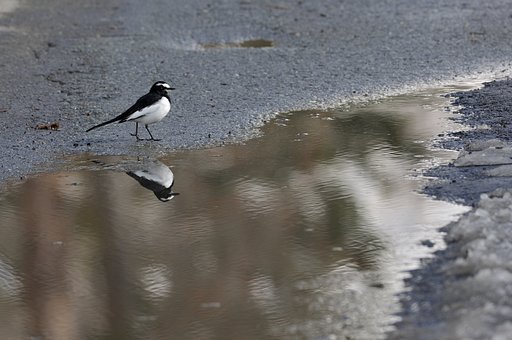 冬の水鏡