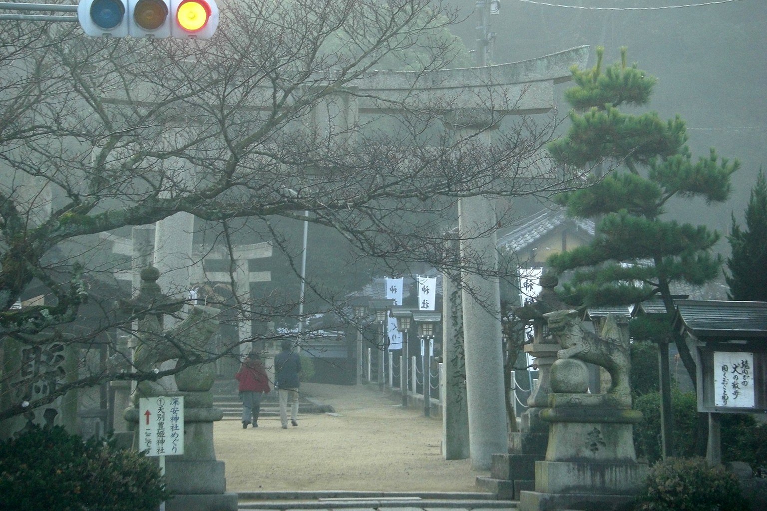 霧の朝