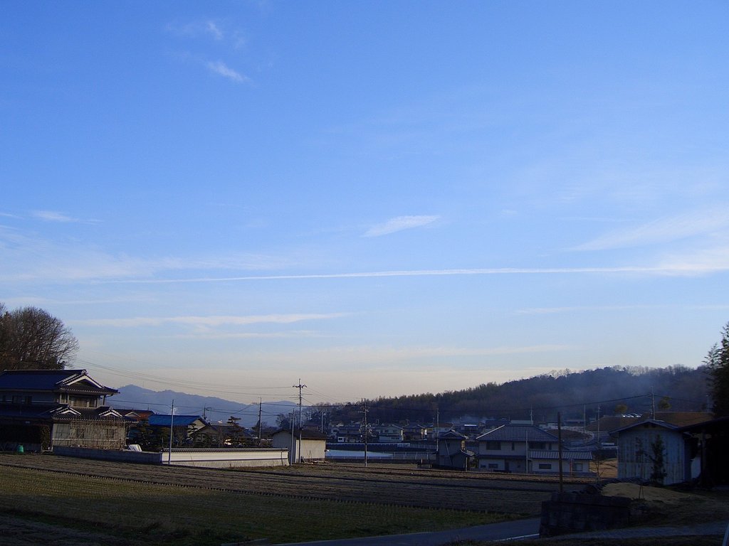 冬空