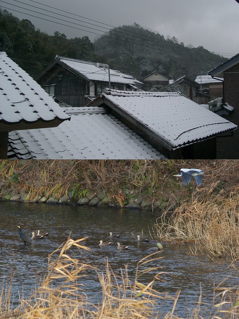 皆様良いお年を、雪景色に!