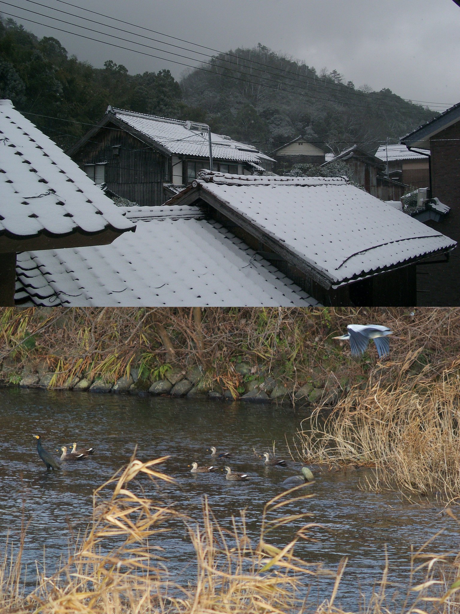 皆様良いお年を、雪景色に!