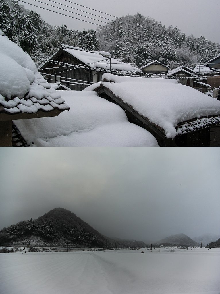 大雪です!