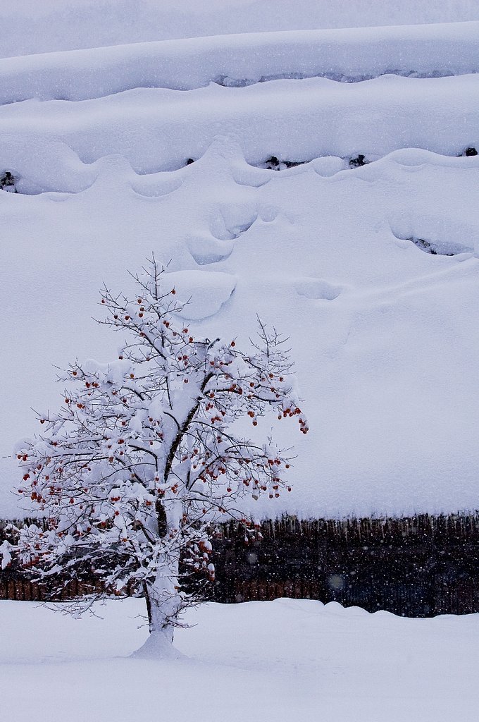 雪屋根