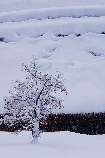 雪屋根