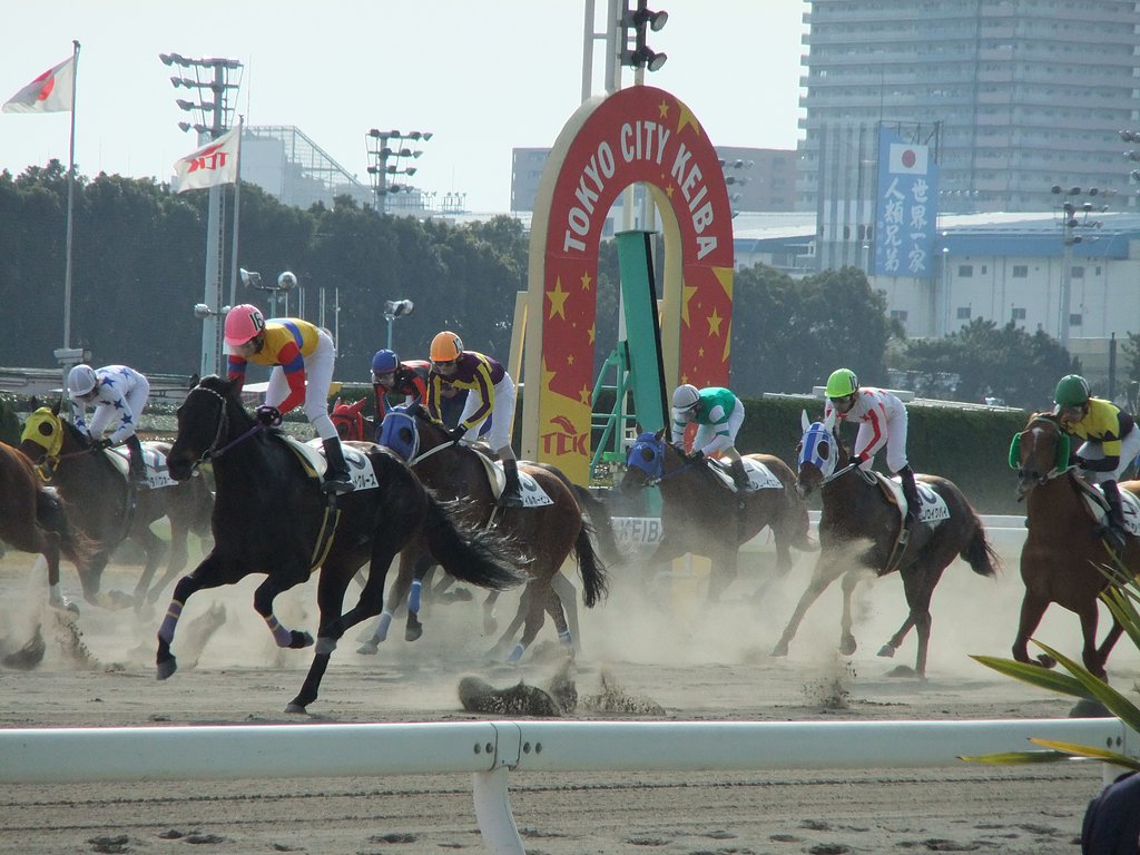 大井競馬場