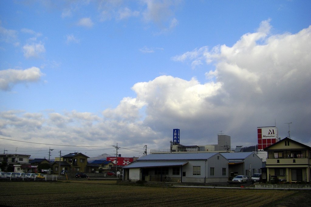 晴れました