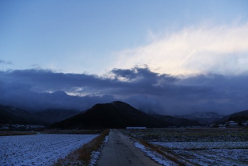 初雪が!