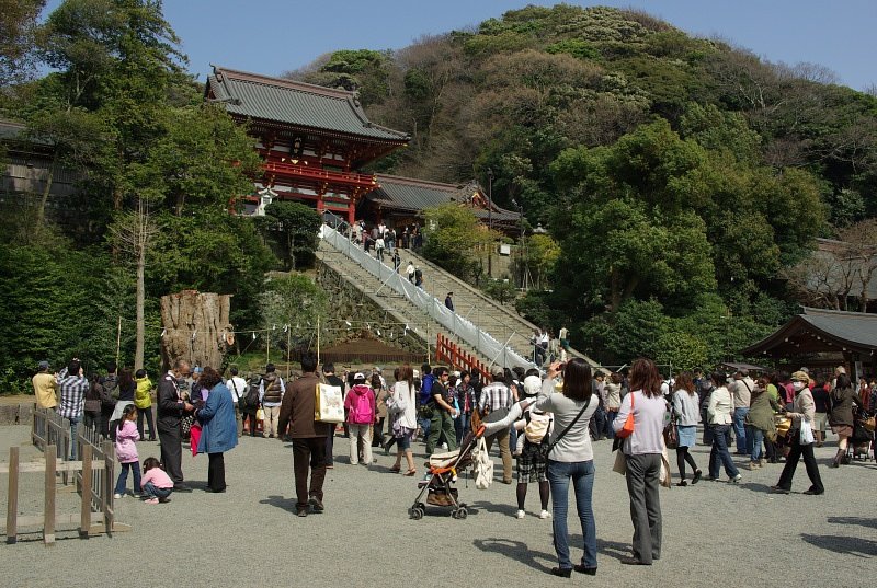 新名所