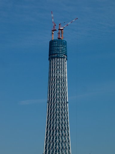 【凛】 伸びゆく大樹
