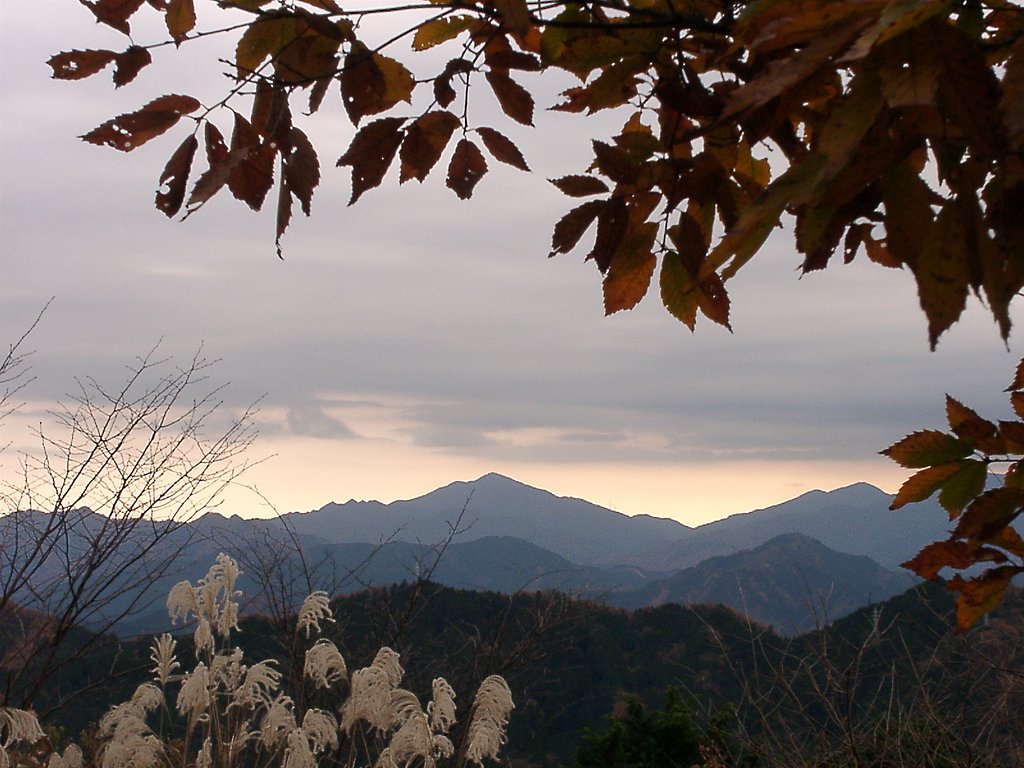 ▲高尾山の晩秋-25