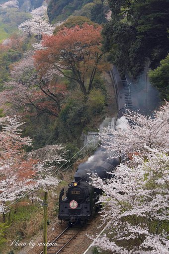 満開！