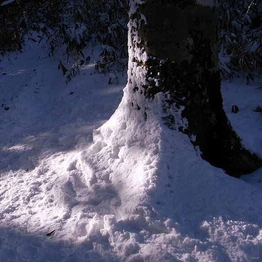【やすらぎ】雪と光