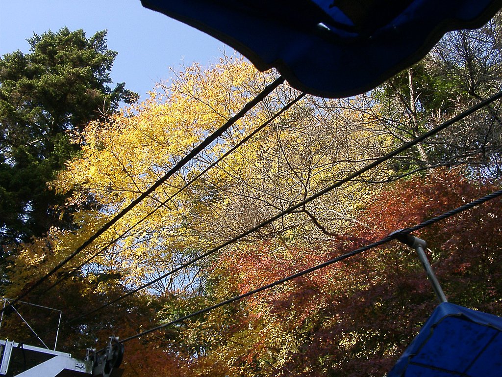 ▲高尾山の晩秋-06